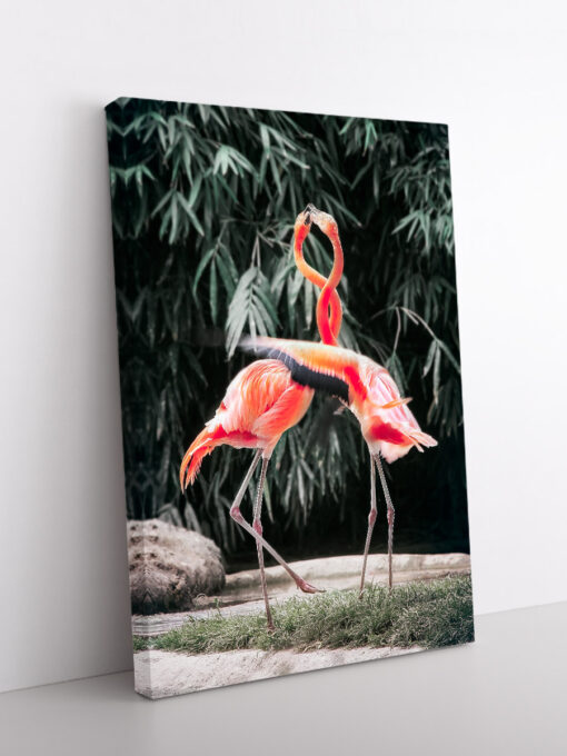 drobė flamingų meilė