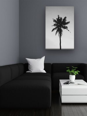drobė bespalvė palmė